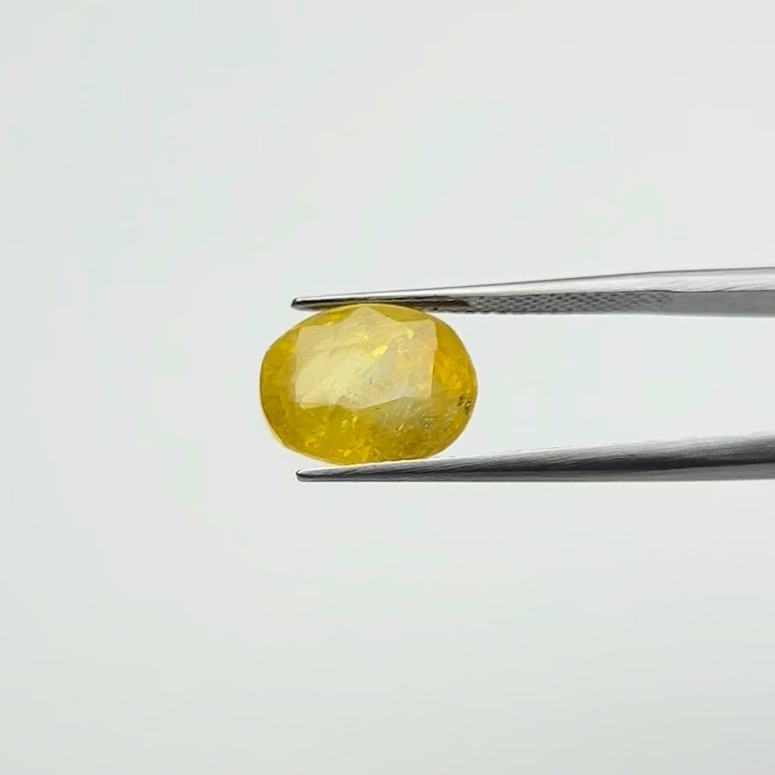 Yellow Sapphire | 10.00 Ratti