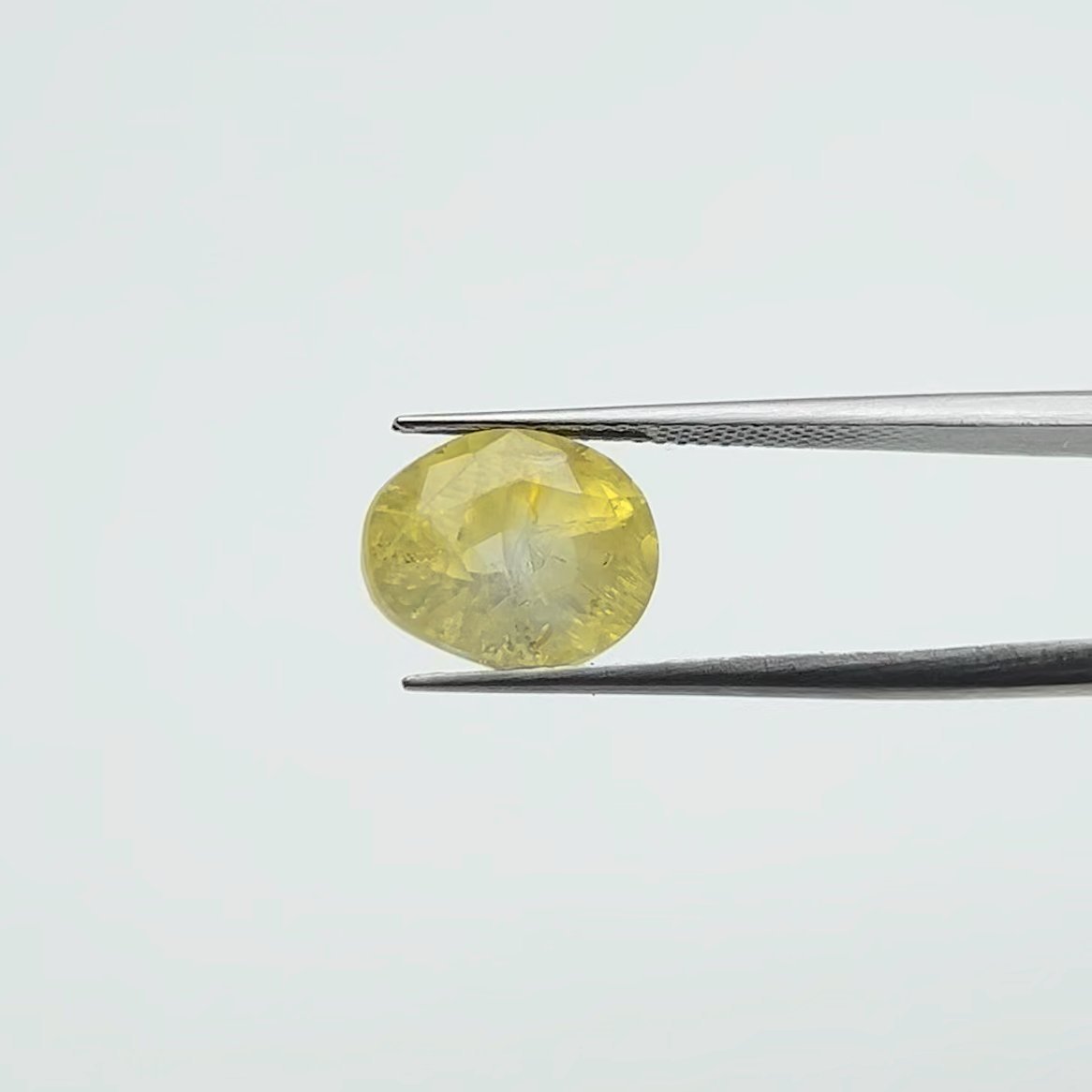 Yellow Sapphire | 8.00 Ratti