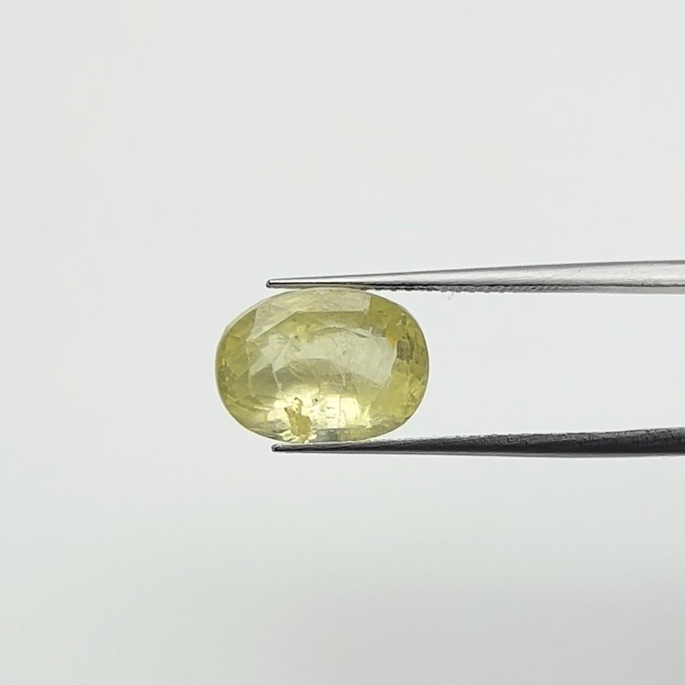 Yellow Sapphire | 8.50 Ratti
