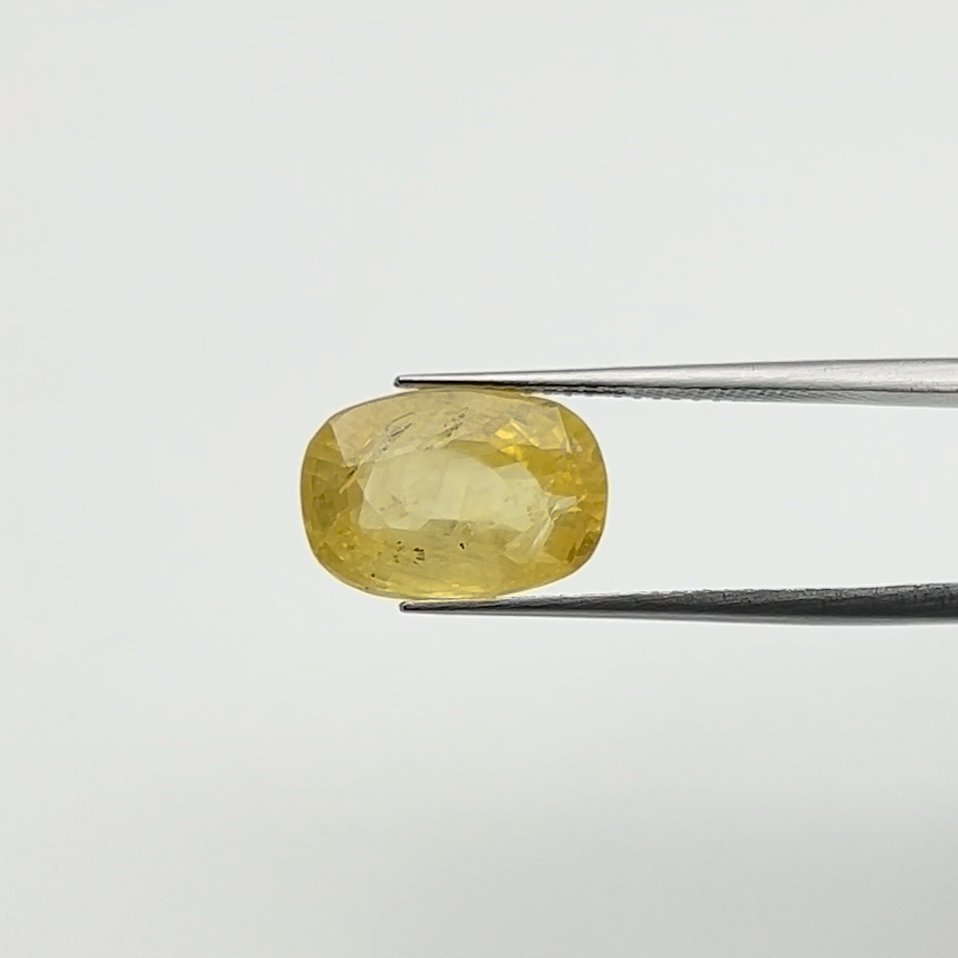 Yellow Sapphire | 8.00 Ratti