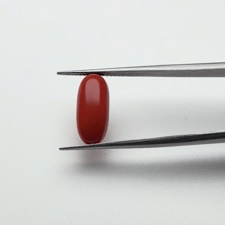 Red Coral | 5.25 Ratti