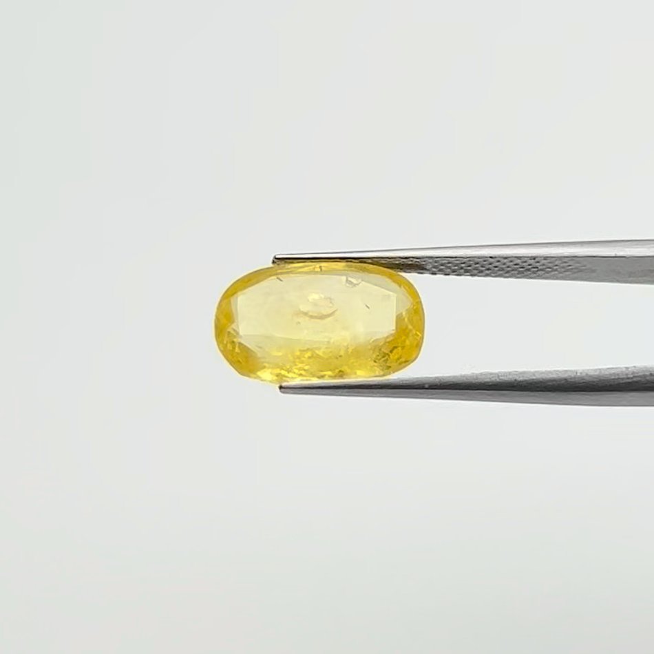 Yellow Sapphire | 6.00 Ratti