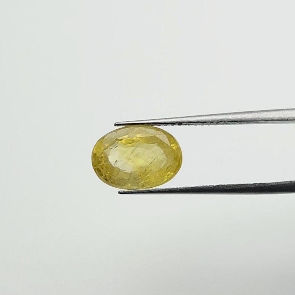 Yellow Sapphire | 7.00 Ratti