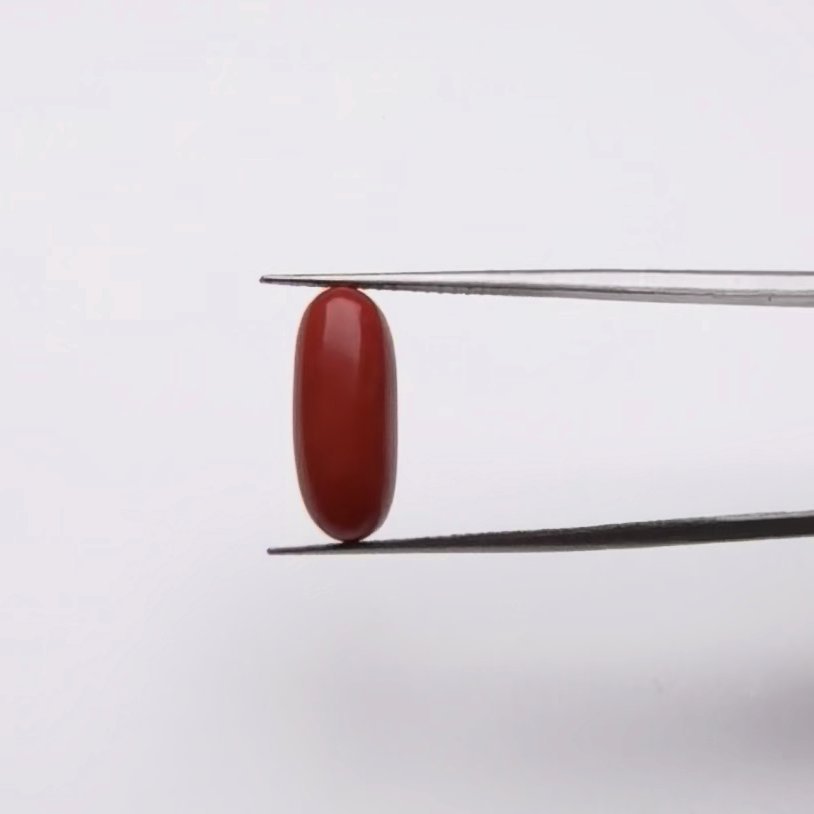 Red Coral | 6.00 Ratti