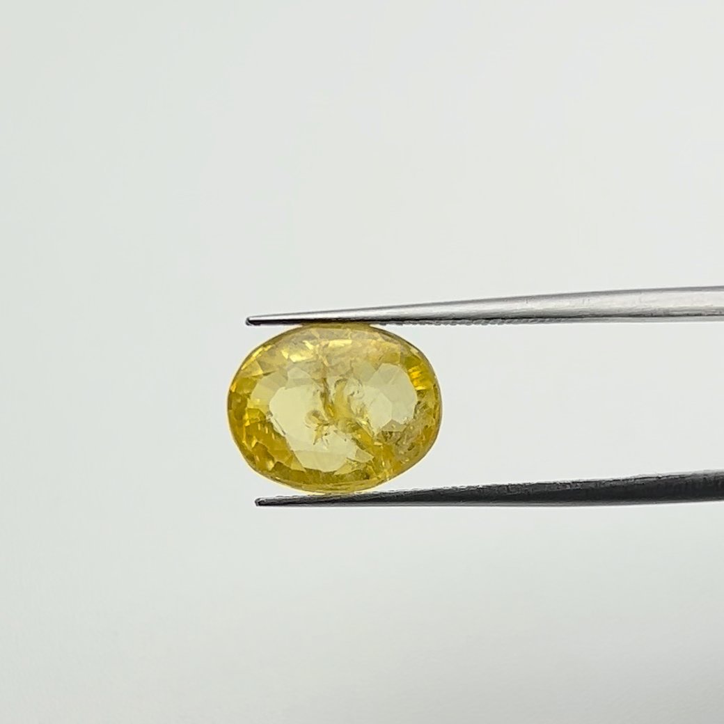 Yellow Sapphire | 5.50 Ratti