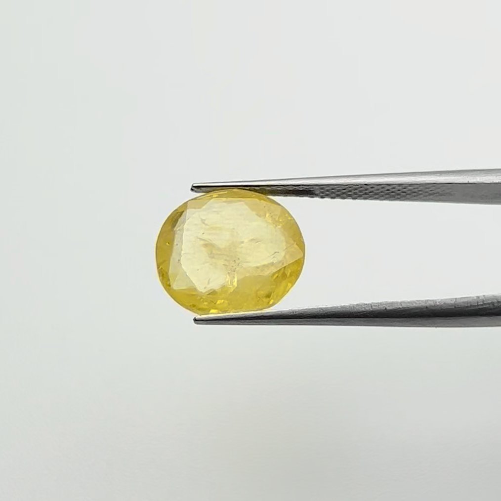 Yellow Sapphire | 6.50 Ratti