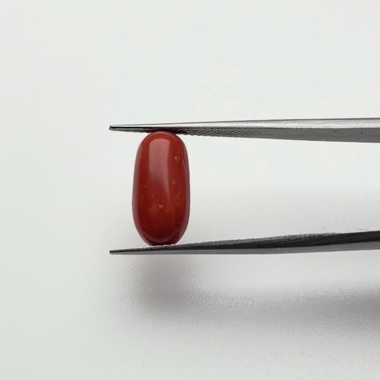 Red Coral | 5.50 Ratti