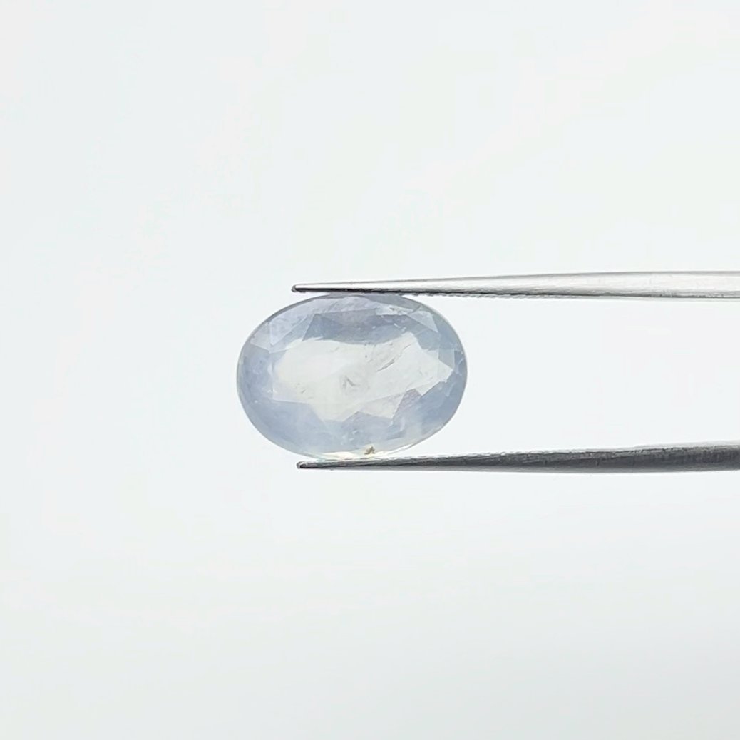 Blue Sapphire | 8.00 Ratti