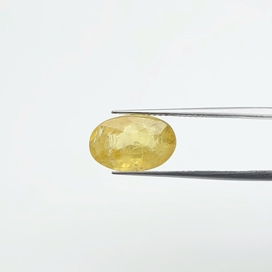 Yellow Sapphire | 7.50 Ratti