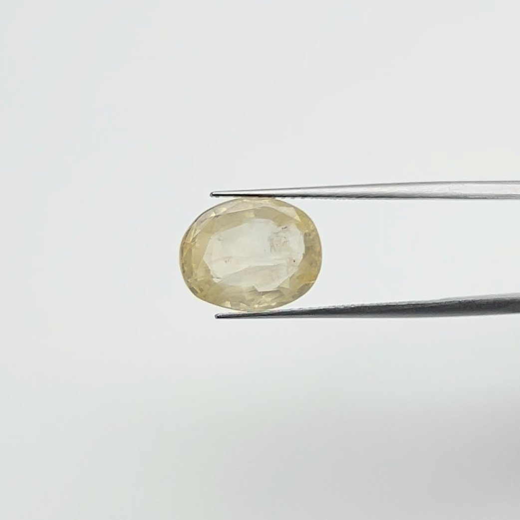 Yellow Sapphire | 8.00 Ratti