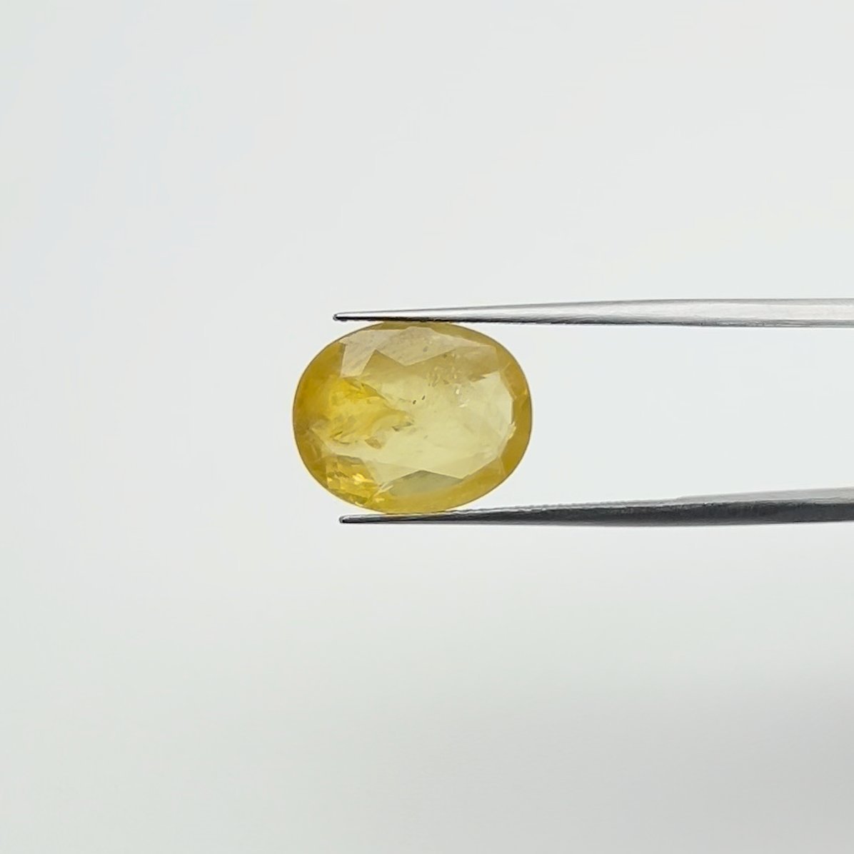 Yellow Sapphire | 8.00 Ratti