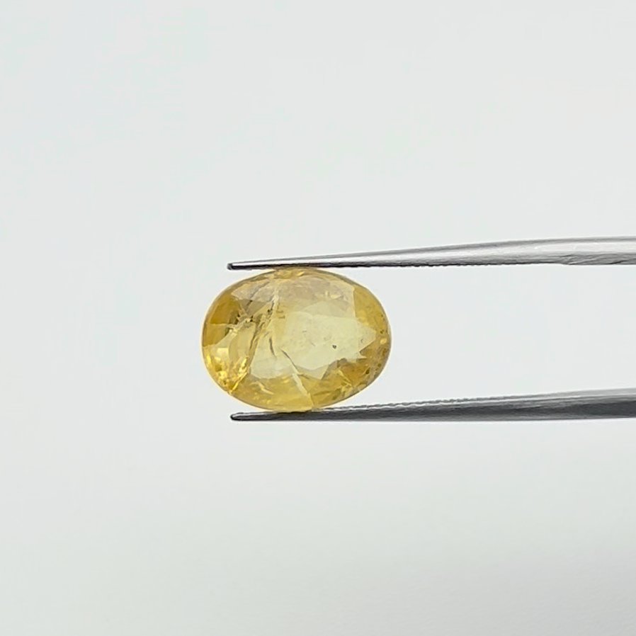 Yellow Sapphire | 7.00 Ratti