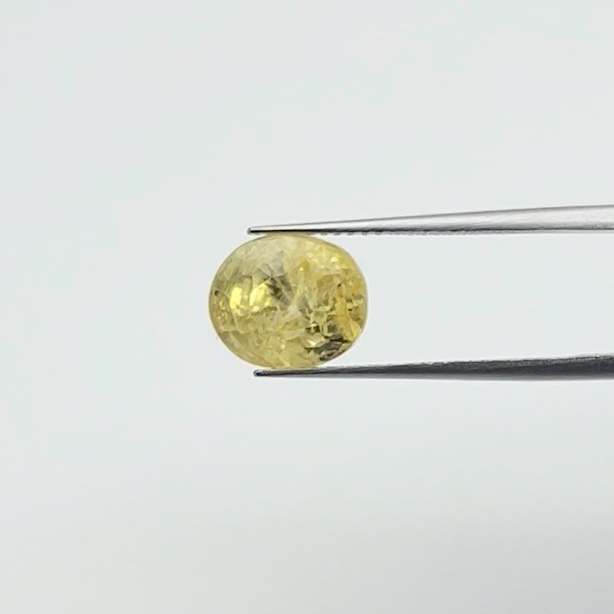 Yellow Sapphire | 6.00 Ratti