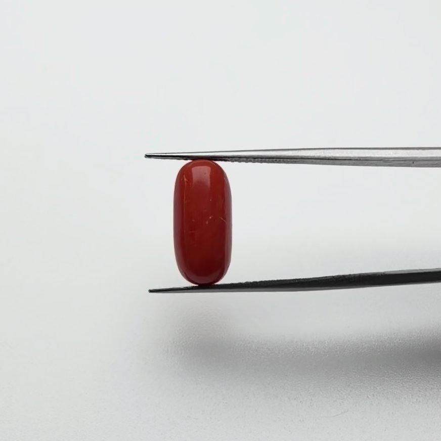 Red Coral | 5.50 Ratti