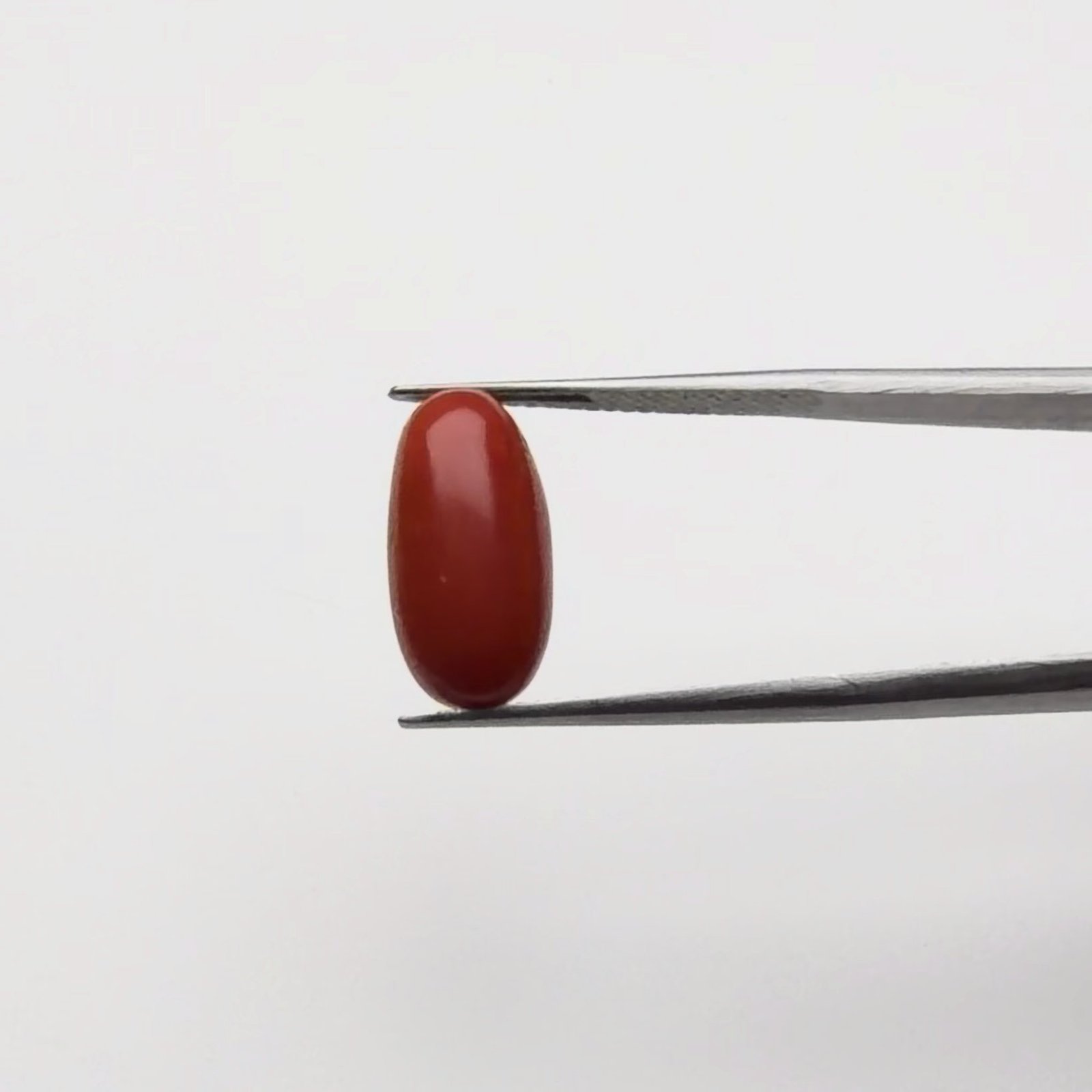 Red Coral | 6.50 Ratti