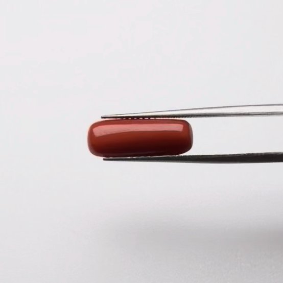 Red Coral | 5.00 Ratti