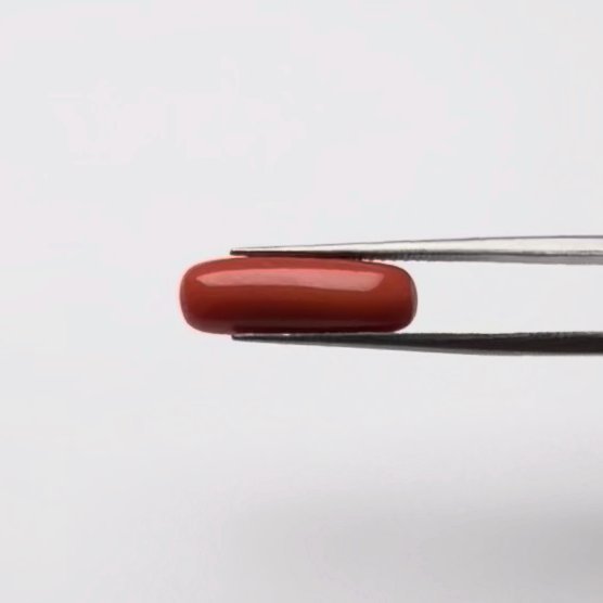 Red Coral | 4.50 Ratti