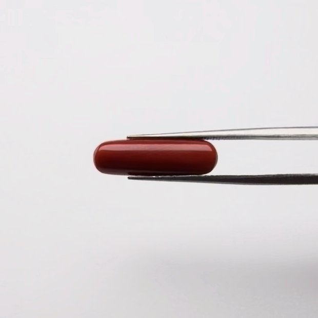 Red Coral | 5.00 Ratti