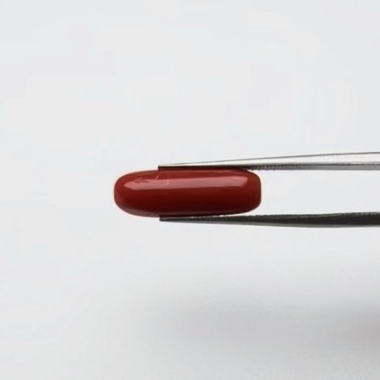 Red Coral | 5.00 Ratti