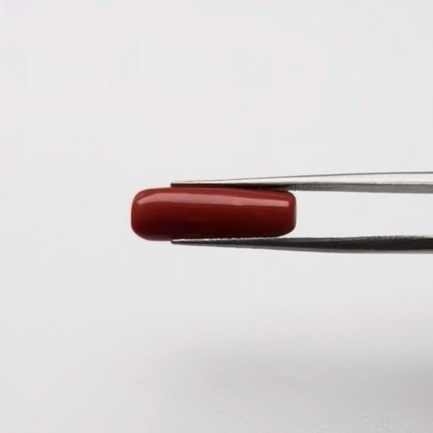 Red Coral | 5.00 Ratti